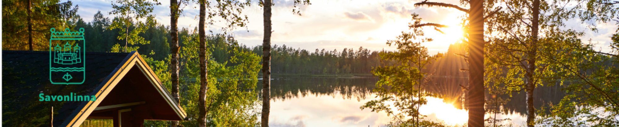 Savonlinnan kaupunki