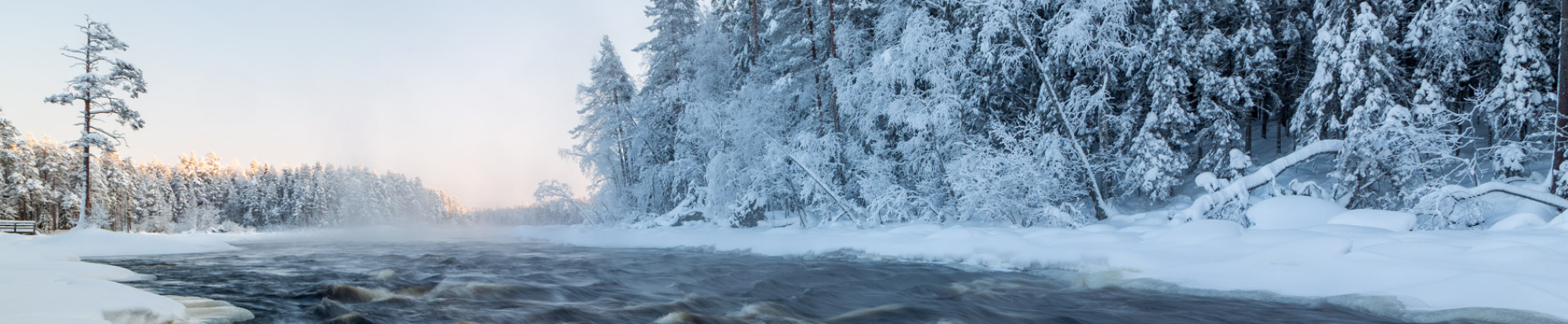 Lieksan kaupunki